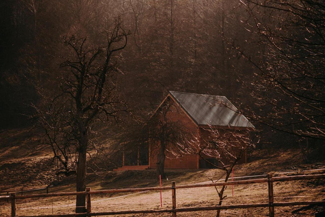 Osada Krasne - Noclegi Blisko Natury Bukowiec  Extérieur photo