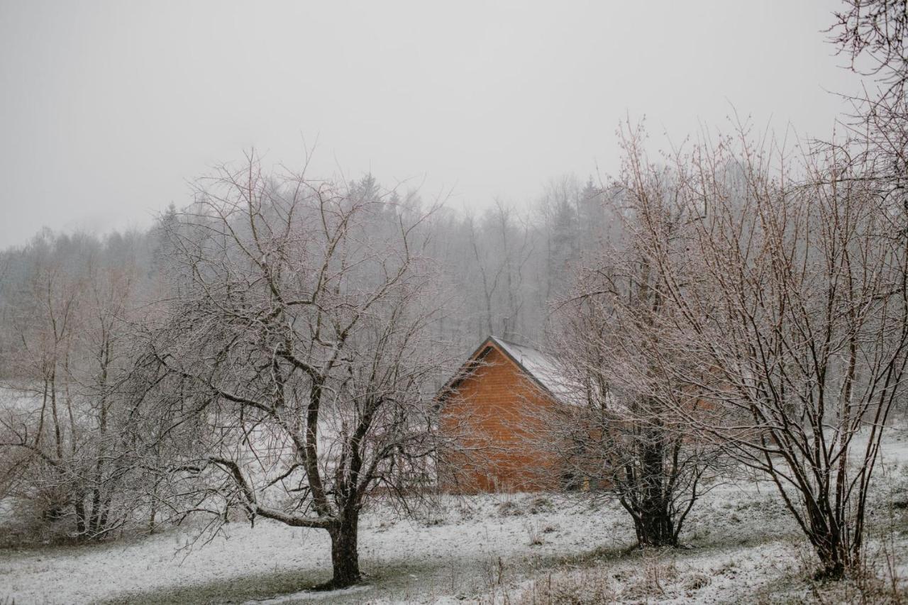 Osada Krasne - Noclegi Blisko Natury Bukowiec  Extérieur photo