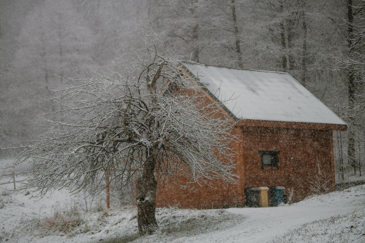 Osada Krasne - Noclegi Blisko Natury Bukowiec  Extérieur photo