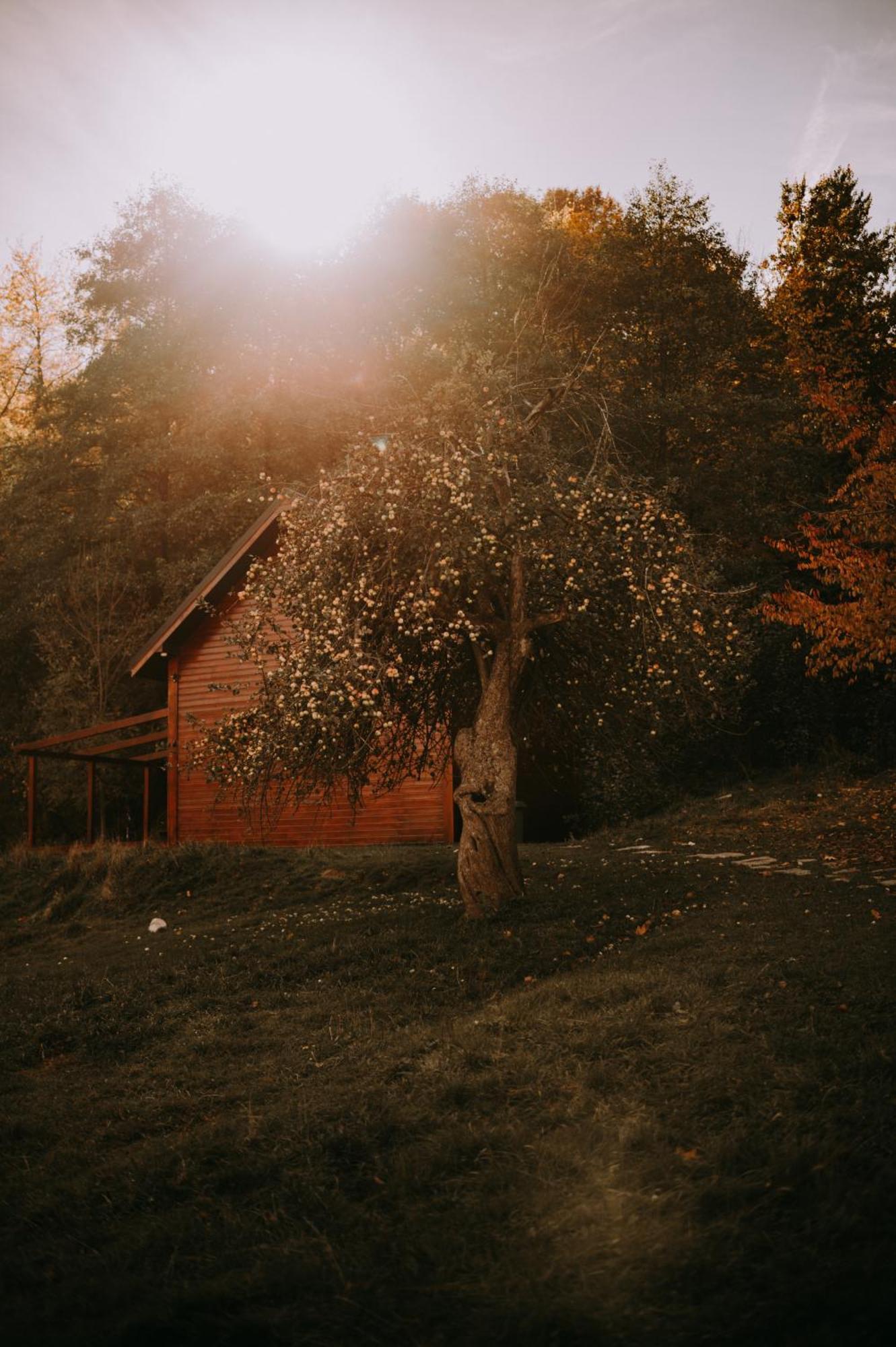 Osada Krasne - Noclegi Blisko Natury Bukowiec  Extérieur photo